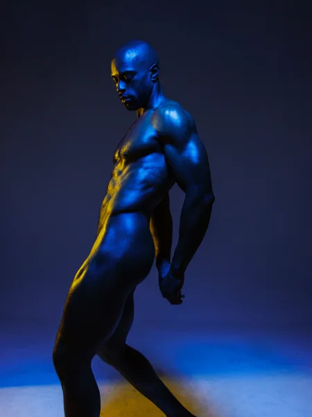 La Pantera Negra