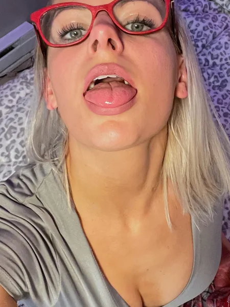 Lexi Kitten 🐱