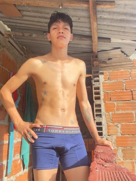 Logan sarmiento