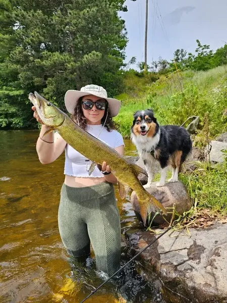 looncaster