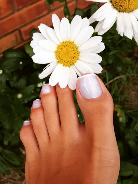 Manex Feet