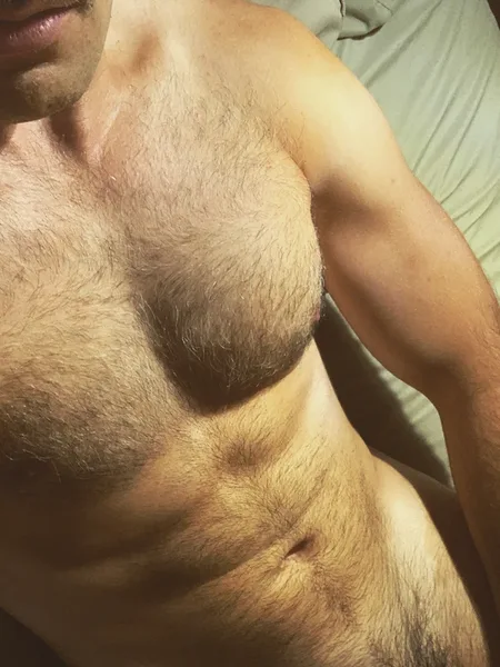 Matt North (Free)