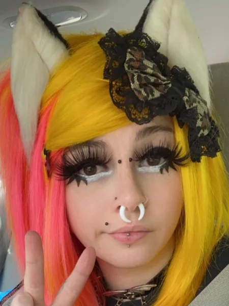 Meowlex