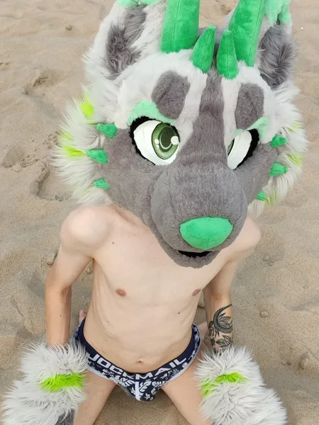 Midorifox