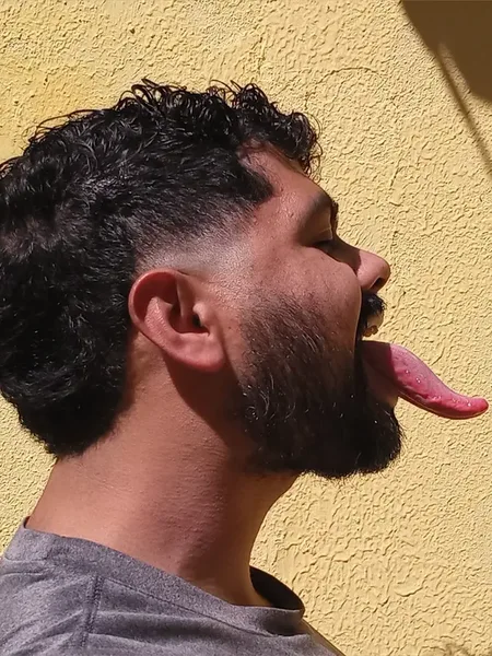 Montanharj29