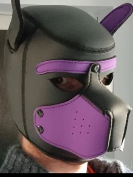 Naughty puppy avatar