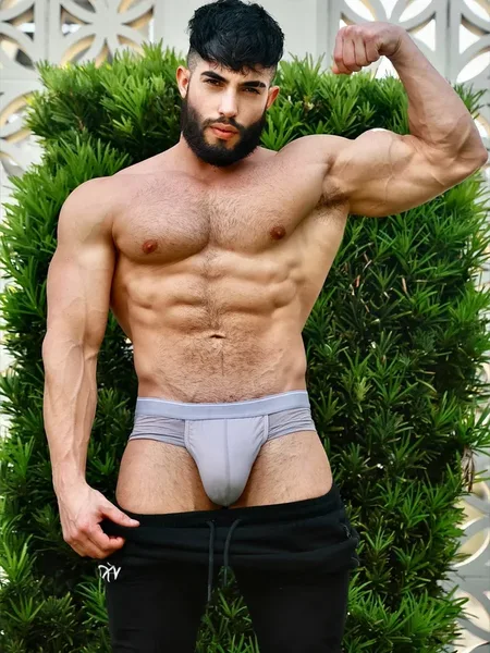 Mr Miami