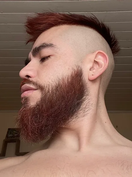Mr. KOKO