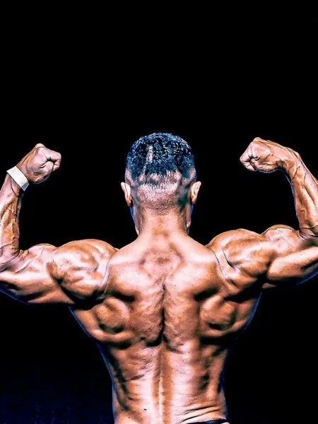 muscle