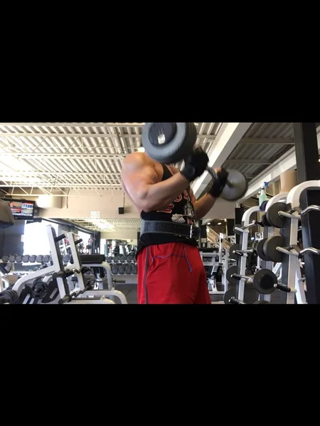 Muscle