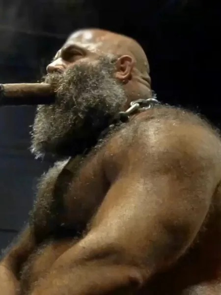 Muscle Bulls