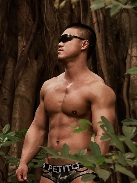 性瘾小狼