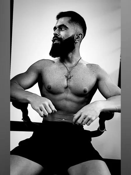 Bearded Persian