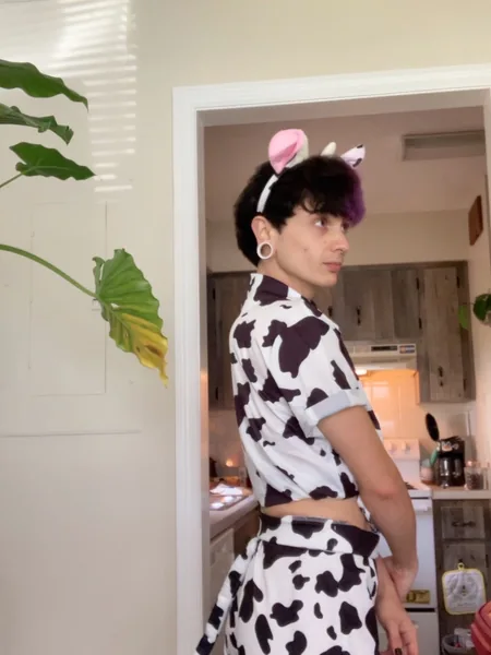 Cow boi#4