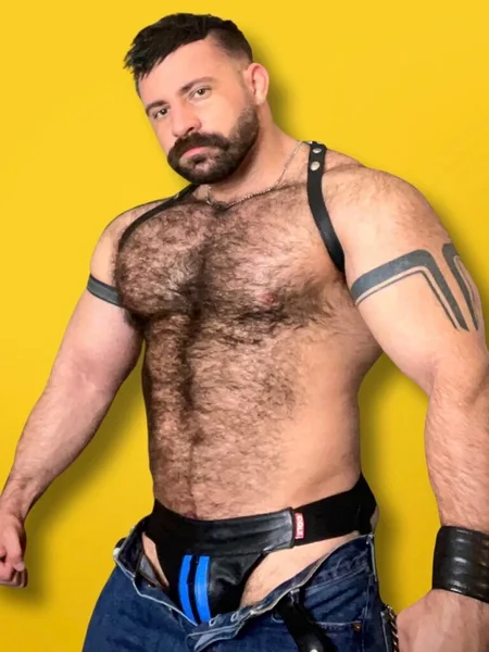 Niks ShapeUp💪🏼🐻