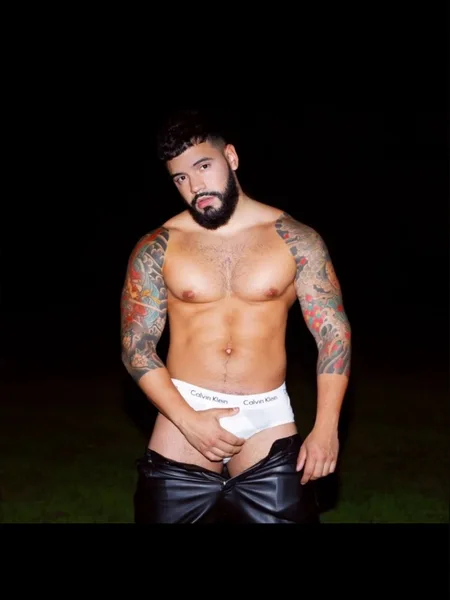 Novela_Papi