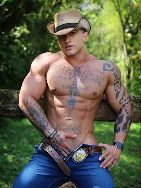 Rafael lincoln