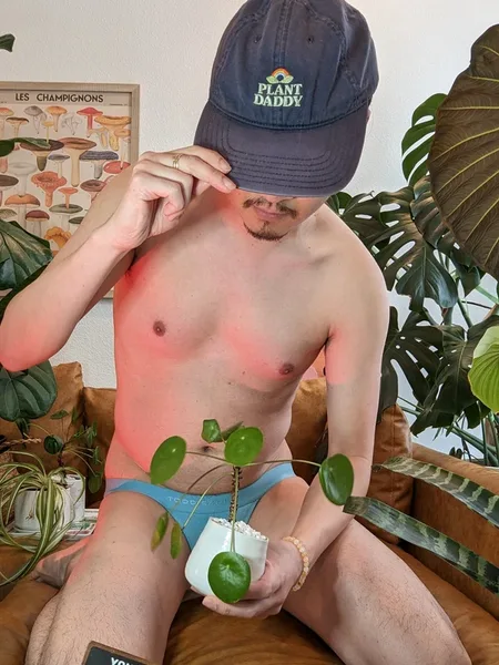 Plant Gaymer