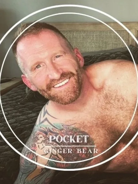 PocketGingerBear