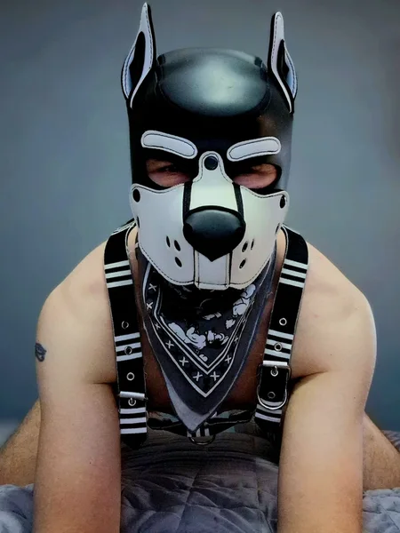 Pup-Olliee