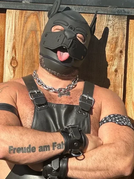 Chuken dog