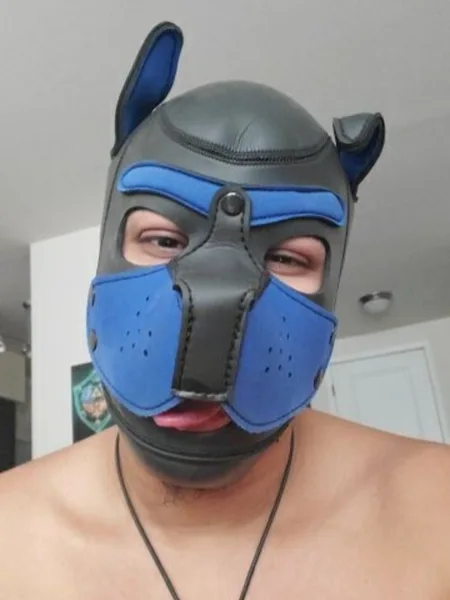 Pup Gaymer