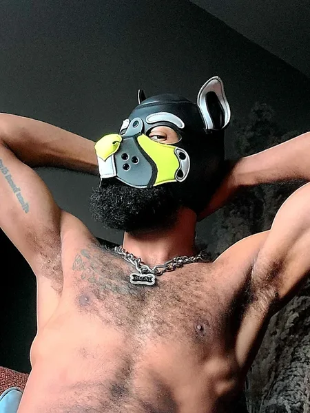 See Pup Jasiri Play
