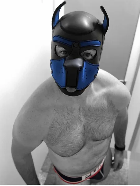 🐾PupMax🐾