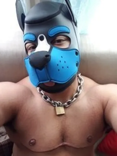 PuppoMax