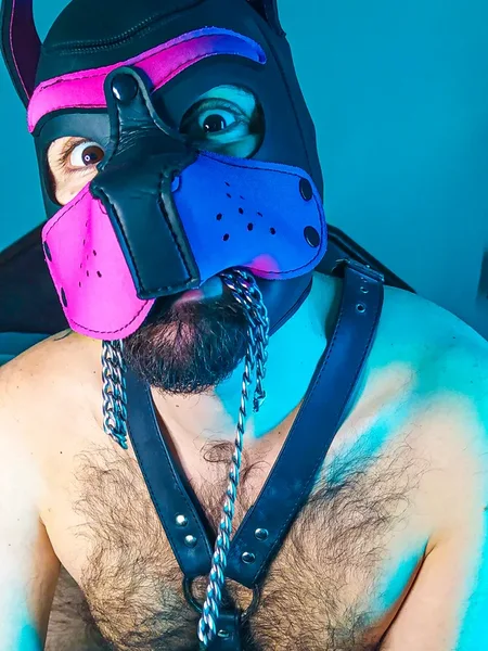 Puppy Bear Cub