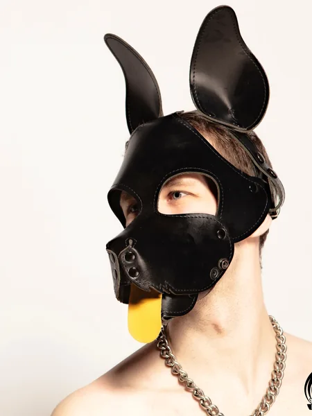 Pup Davey