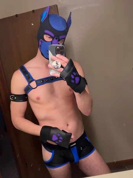 Pup Taz