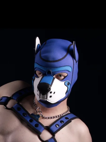 Pup Wilde