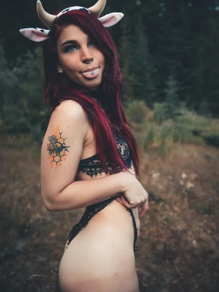 Little Quirky Kitten😸