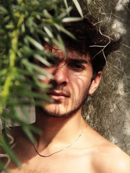 Radu
