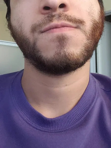 randy bear