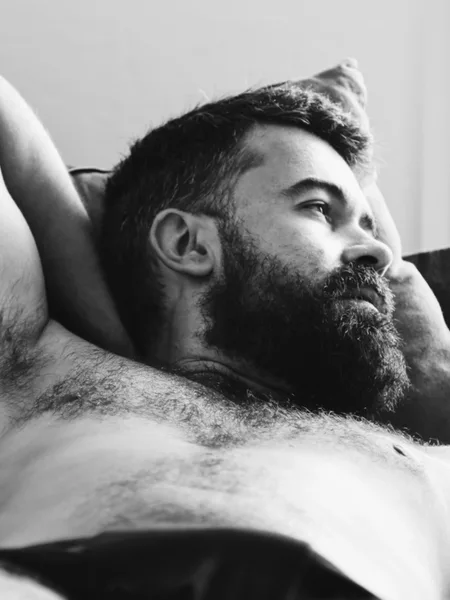 Rayan_bearded