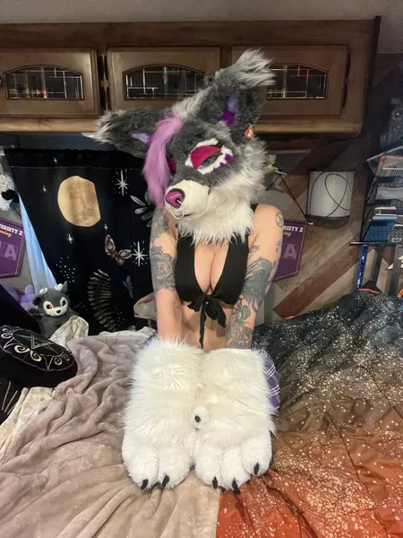 Vexx ✨💖🐾💖✨