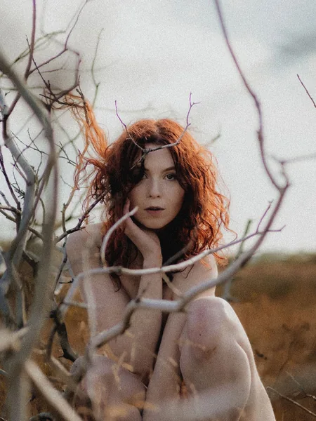 HEL | FREE