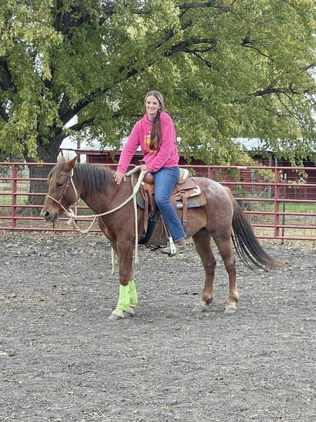 Dallas