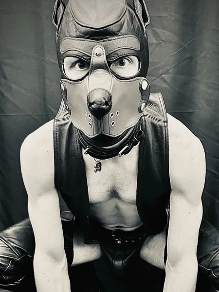 Rocket the Smut-Mutt