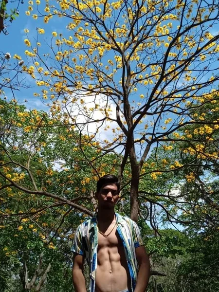 Rollym23 🦊