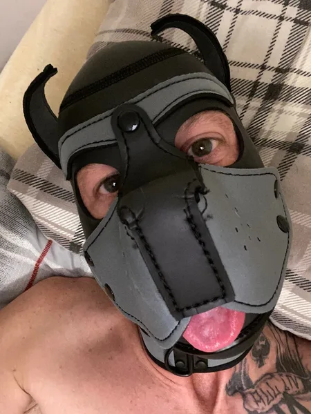 Ryker The Pup