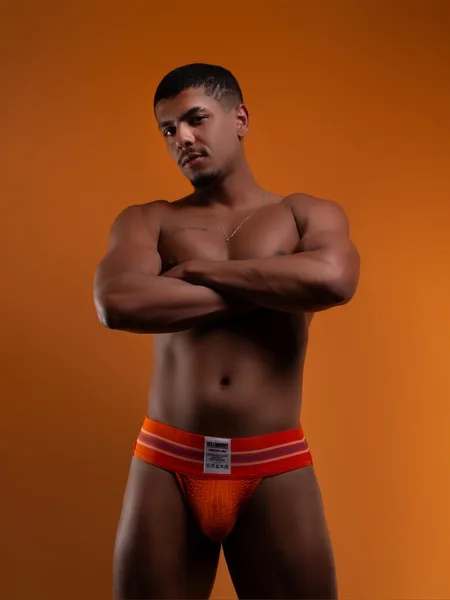 Rei Salmão