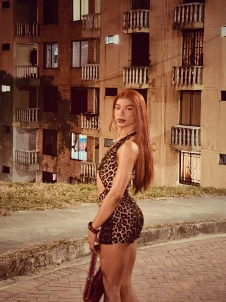 Sicaru cabol