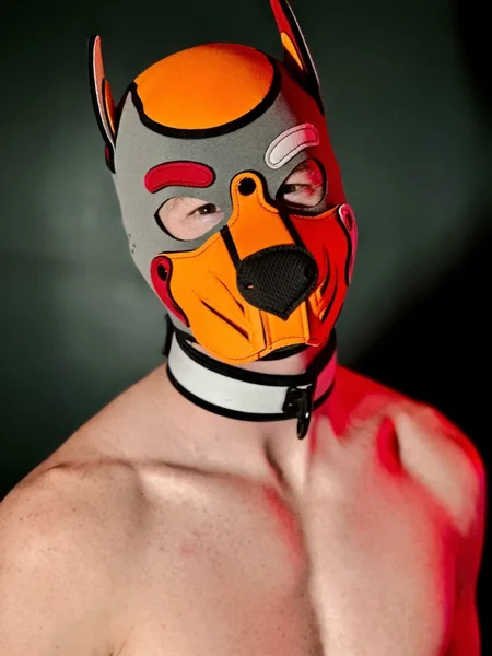 Sub Pup Kylo