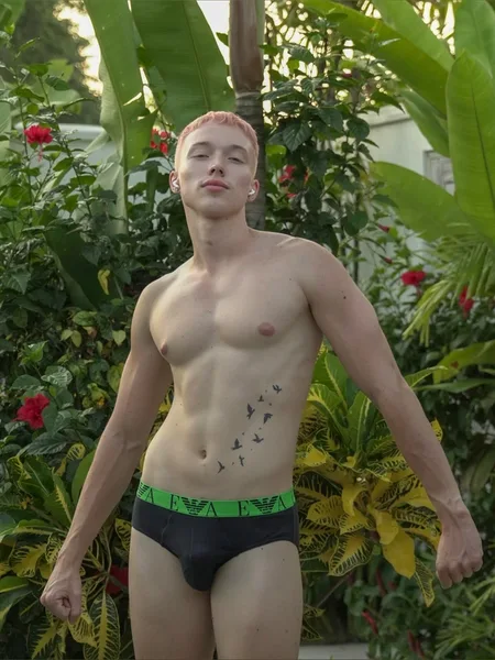 StefanCuteHotFree