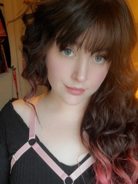 HereKittyKitty