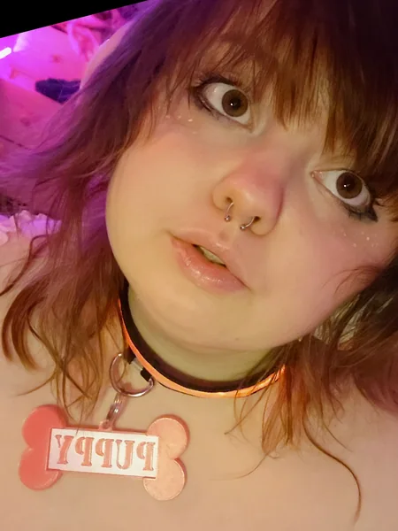 ♡ Syrup Puppy♡