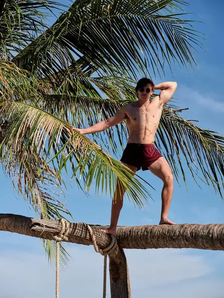 Thatfitguyfree